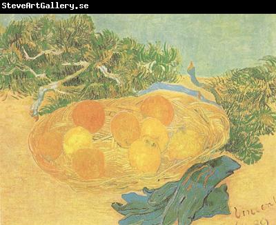 Vincent Van Gogh Still life:Oranges,Lomons and Blue Gloves (nn04)